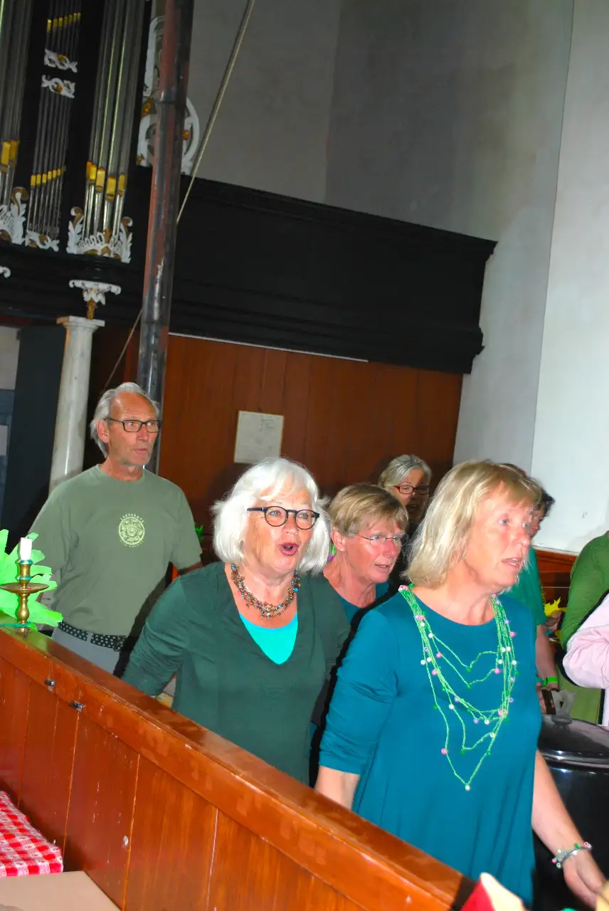 jubileumconcert 2017compressed-DSC_1596 2.webp